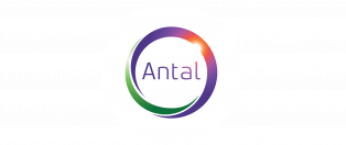 Antal International Network / StepUp Recruitment Ltd.